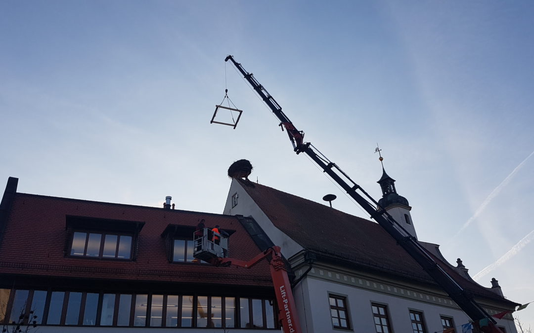 Storchennest wird saniert